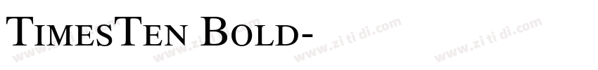 TimesTen Bold字体转换